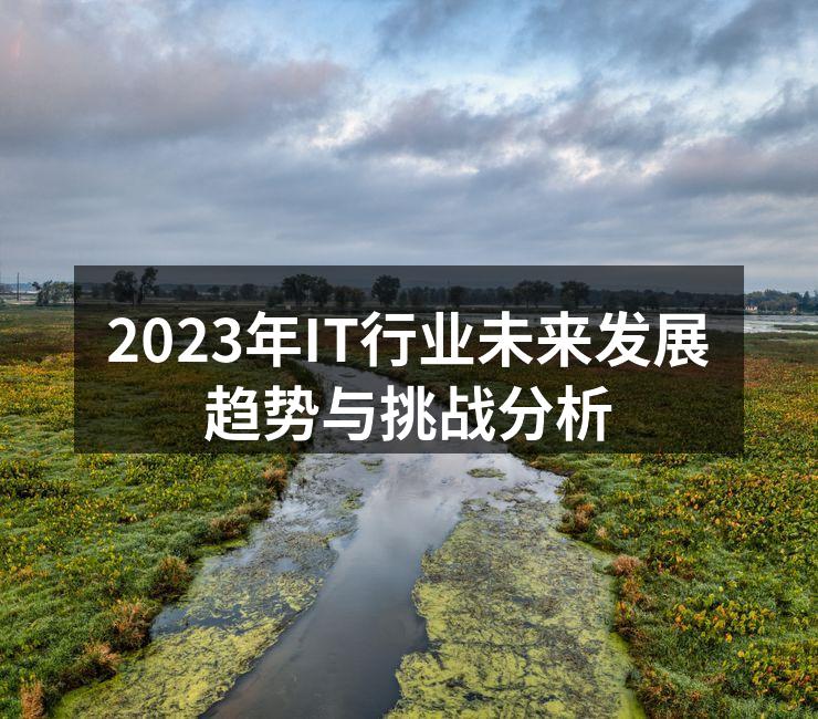 2023年IT行业未来发展趋势与挑战分析