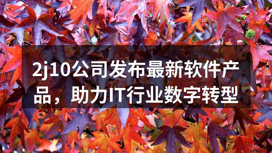 2j10公司发布最新软件产品,助力IT行